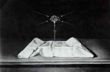 Haga click para ver la imagen ampliada 1950_23_mystical carnation 1950-51.jpg
